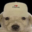 dumbdog