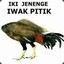 Iwak Pitik