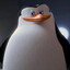 skipper