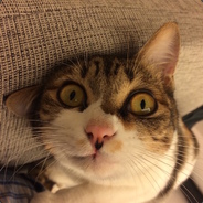 ||||||||||||||||||||||||||||||||