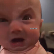 садовый гном