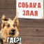 Бобик не гавкает