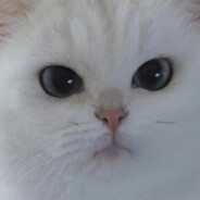 你是不是点心吃多了