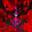 RED SLOBERING