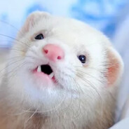 PieCreeper avatar