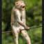 HomeBoy007DK
