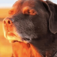 Majestic.