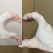 ૮꒰˶ฅ́˘ฅ̀˶꒱ა