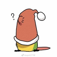 机智少女常包包