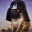 Kartoshka