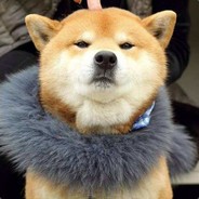 求你别打我#CSGO真箱