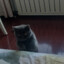 TOM