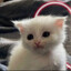 ezerence