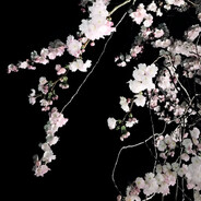 </3 - steam id 76561199526776407