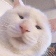 辣鸡一笑