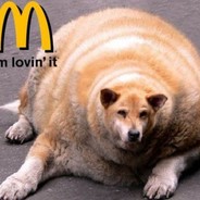 Obese Dog Steam avatar