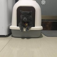 社会你东兰三哥