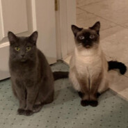 wwwwwwwwwwwwwwwwwwwwwwwww