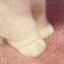 FuzzyKittenLegs(^-^)