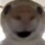 2101551865