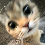 叶子kky