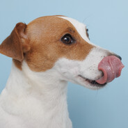 L1Z00N - steam id 76561199040160032