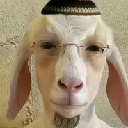 el mordjene16739254764791582346