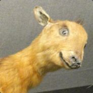 nios - steam id 76561197960373766