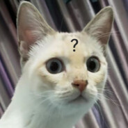 时间就是金钱我的朋友