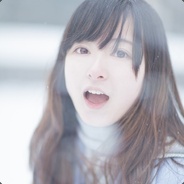 党和政府的铁拳