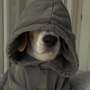 high school cobaltlab.tech