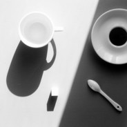 花有重开日，人无再少年