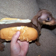 keygen118 .skins.army