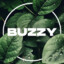 Buzzy