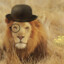 Dandy Lion