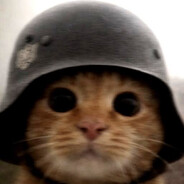 PanzerPuss |RU|