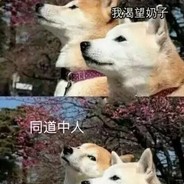 病友