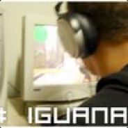 iguana