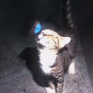 ESL 32rep+ CS2BGD31.RU