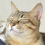 Pointlyシ