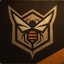 Hornet_9092