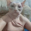 CHUMBAUMBA