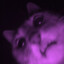 Kattunge