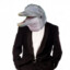 Dapper Dolphin