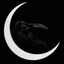 [Arditi]Cap.le.M.MoonKnight_Exe