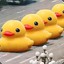 Annoying ducks