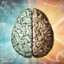 Brain
