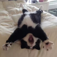 遇到不会的我就只洗碗