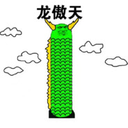 龙傲天.