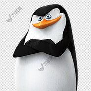 马达加斯加的鹅